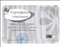 Сертификат за участие в районном этапе 3 Всероссийского конкурса "Новогодик", 2013  г.